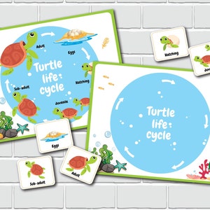 Life Cycle of a Turtle, Turtle Anatomy, 3 Part Montessori Cards, Nature ...