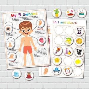 Five Senses Matching Activity: Preschool Anatomy Learning Binder (PDF ...