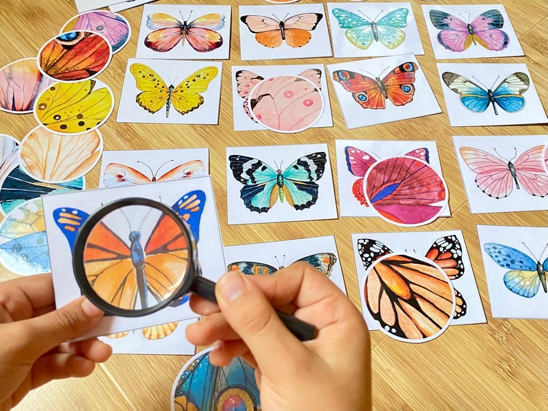 May include: A magnifying glass is placed over a card with a colorful butterfly illustration. The card is surrounded by other cards with butterfly illustrations in various colors and patterns.
