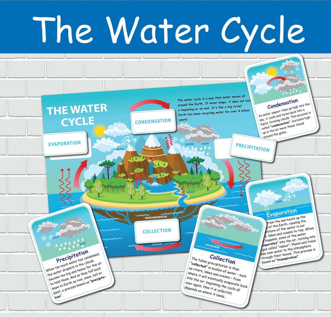 Water Cycle Printable Activity Kids Nature Study Kindergarten - Etsy