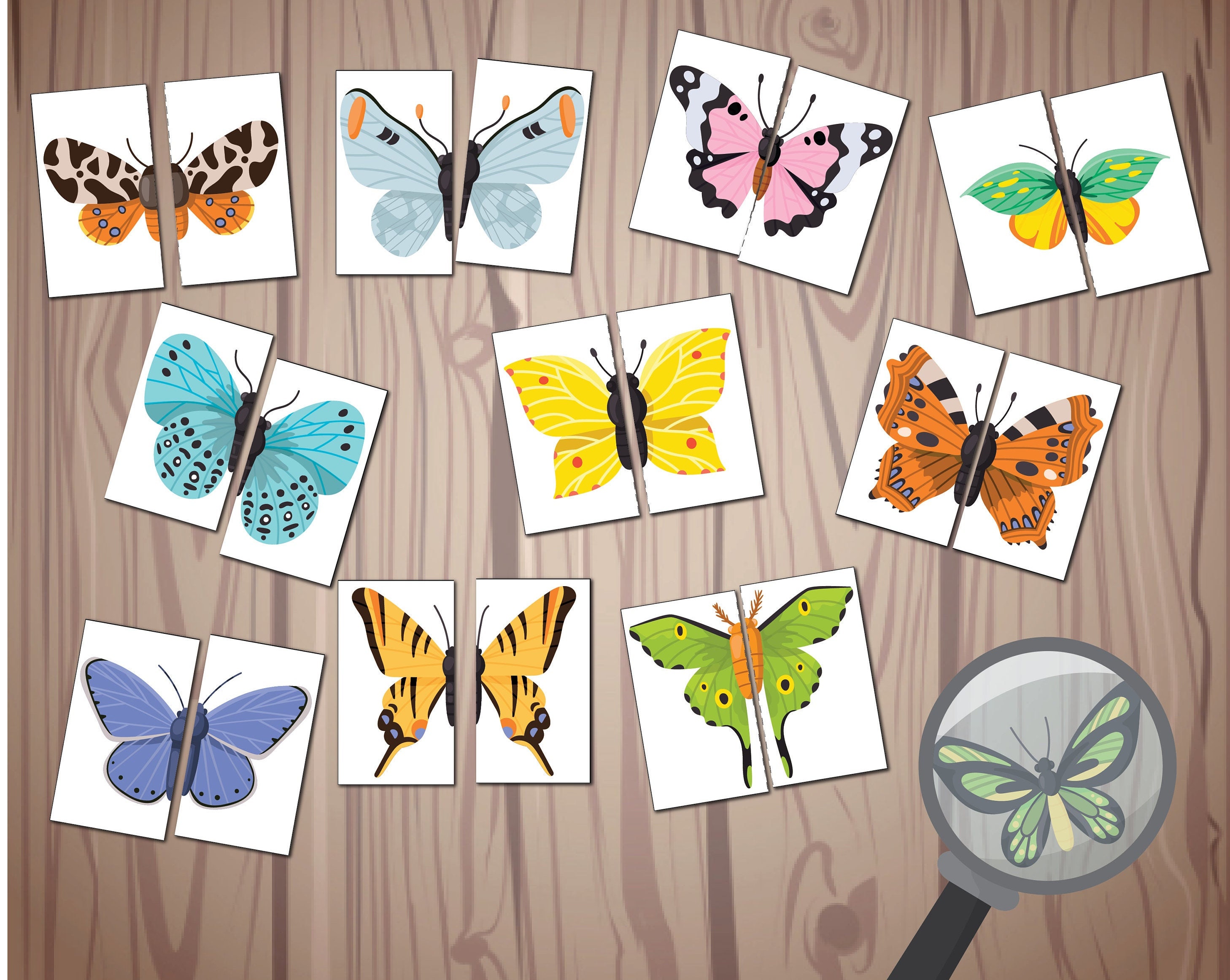 Butterfly Symmetry Cards, I Spy Activity, Spring Printable Butterfly Symmetry Cards, I Spy Activity, Spring Printable