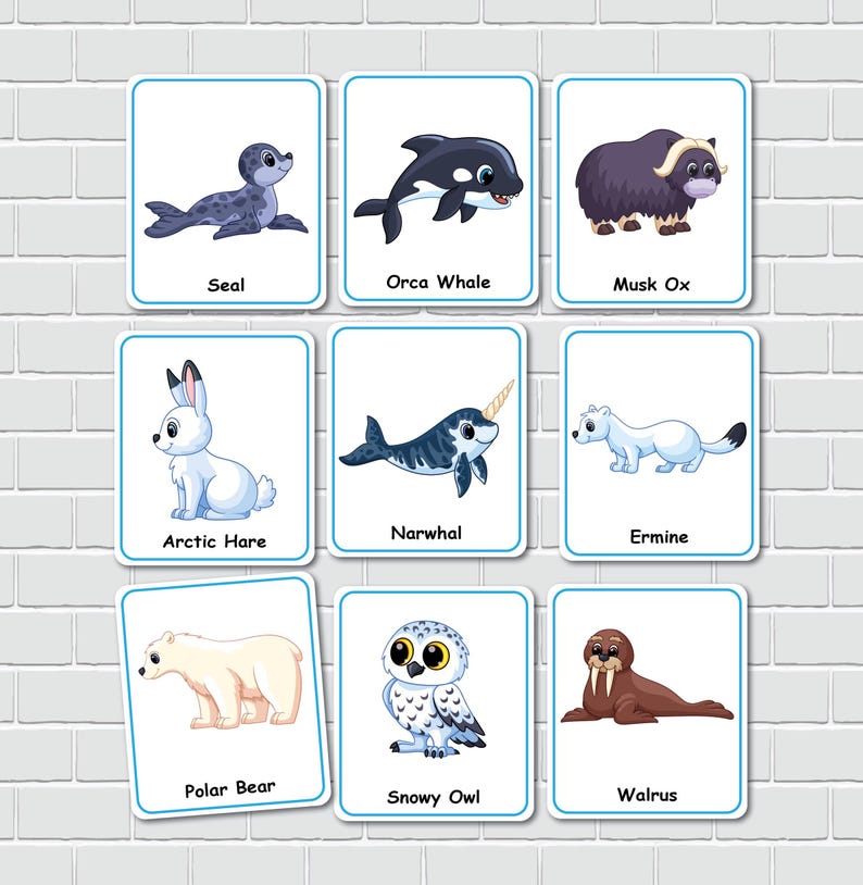 Arctic Animals Flashcards, Printable Cards for Kids, Preschool
