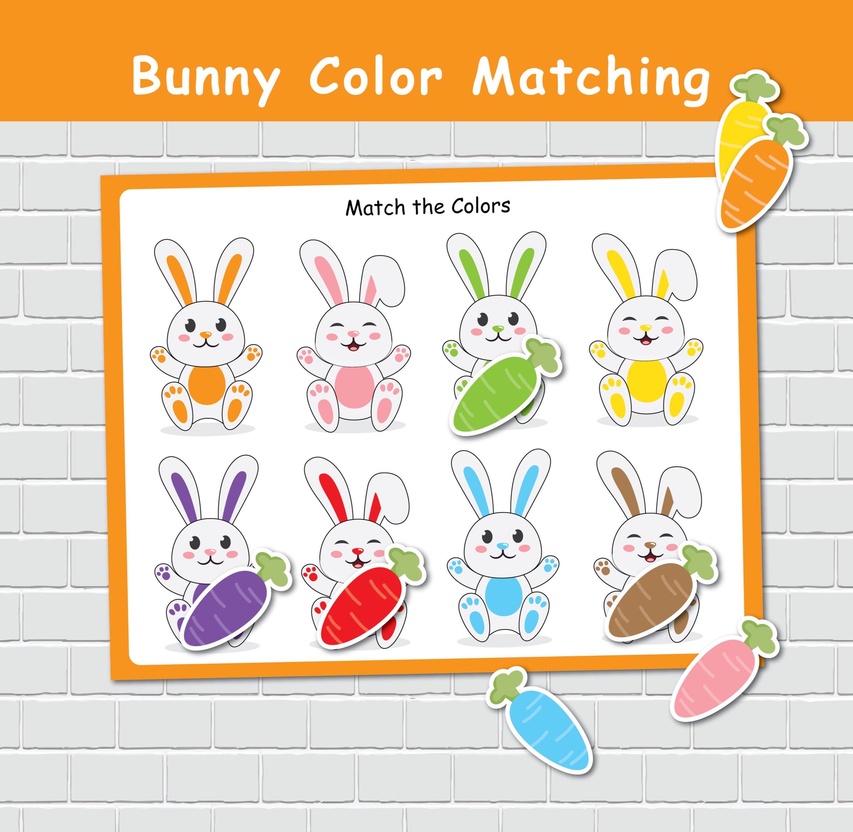 Bunny Color Matching Activity for Kids, Toddler Color Printables - Etsy