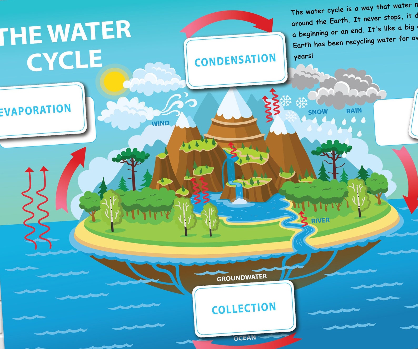 Water Cycle Printable Activity Kids Nature Study Kindergarten - Etsy