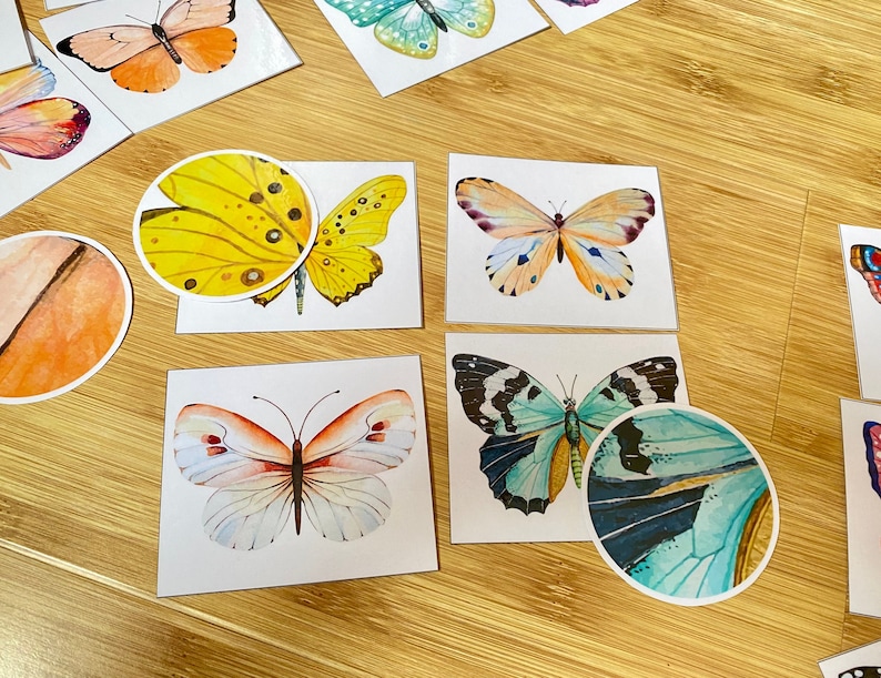 May include: A set of eight butterfly stickers with different colors and patterns. The stickers are printed on white paper and have a glossy finish.