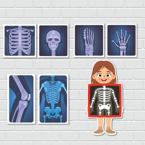 May include: A cartoon illustration of a child holding a red frame with a blue skeleton inside. The frame is surrounded by eight smaller frames with blue skeletons of different body parts.