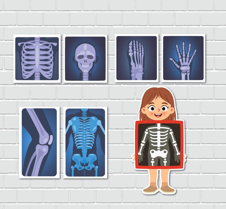 May include: A cartoon illustration of a child holding a red frame with a blue skeleton inside. The frame is surrounded by eight smaller frames with blue skeletons of different body parts.