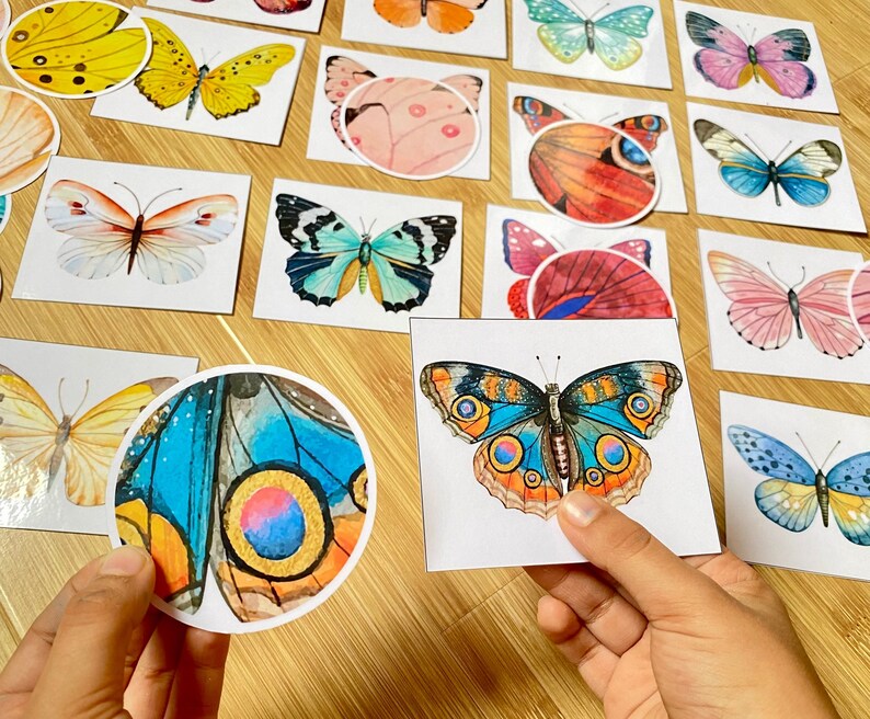May include: Assortment of colorful butterfly illustrations printed on white card stock. The butterflies are in various poses and sizes. Some butterflies have a blue, green, or orange color scheme. Others have a pink, purple, or red color scheme.