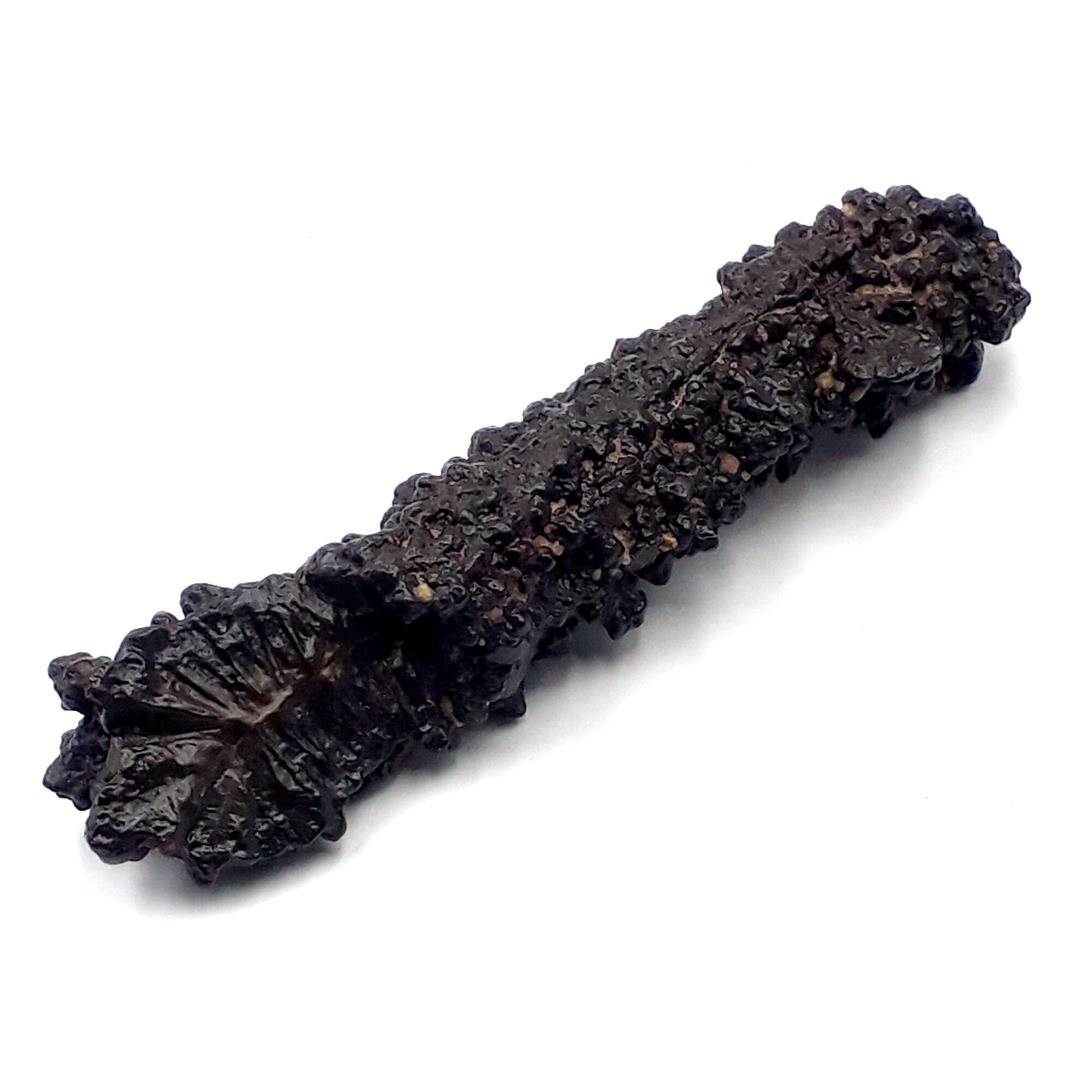 59 Grams Prophecy Stone Pseudomorph Hematite Goethite