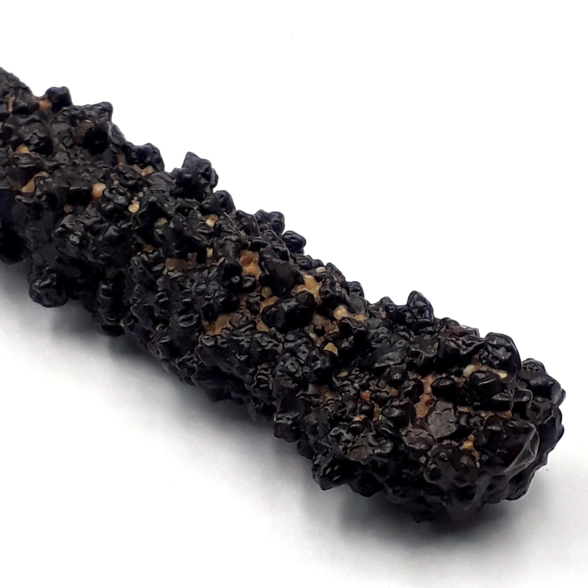 59 Grams Prophecy Stone Pseudomorph Hematite Goethite