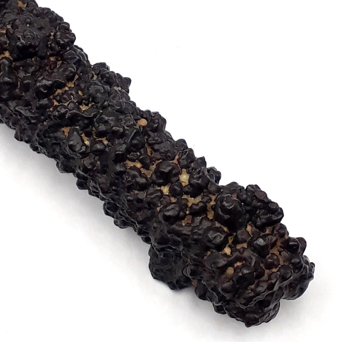 59 Grams Prophecy Stone Pseudomorph Hematite Goethite