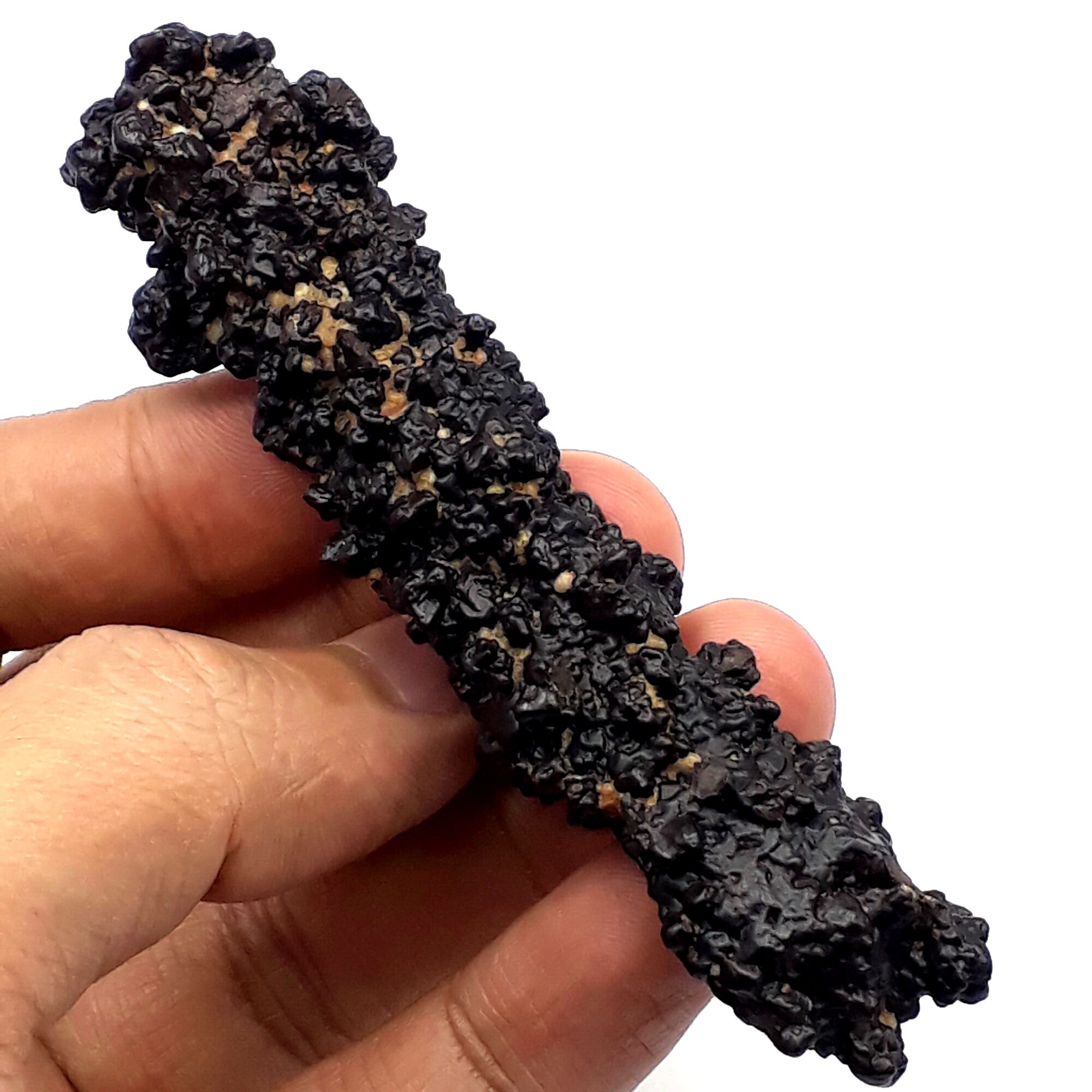 59 Grams Prophecy Stone Pseudomorph Hematite Goethite