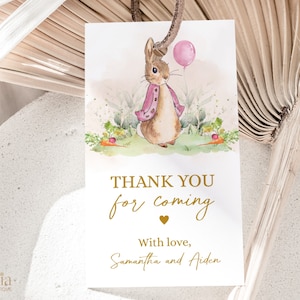 Peter Rabbit Geschenkanhänger, EDITIERBAR Danke für das Kommen Bevorzugung Tag, Flopsy Bunny Label, Baby Shower Geschenkanhänger, Mädchen rosa Ballon Frühling, BS133