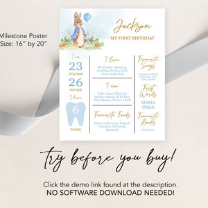 Peter Rabbit First Birthday Milestone Poster, EDITABLE Birthday Sign ...