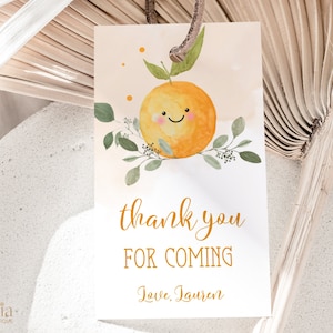 BEWERKBARE Bedankt voor uw komst Gift Tag, Little Cutie Party Favor Tag, Clementine Baby Shower Label Template, Oranje, Instant Download, BS032
