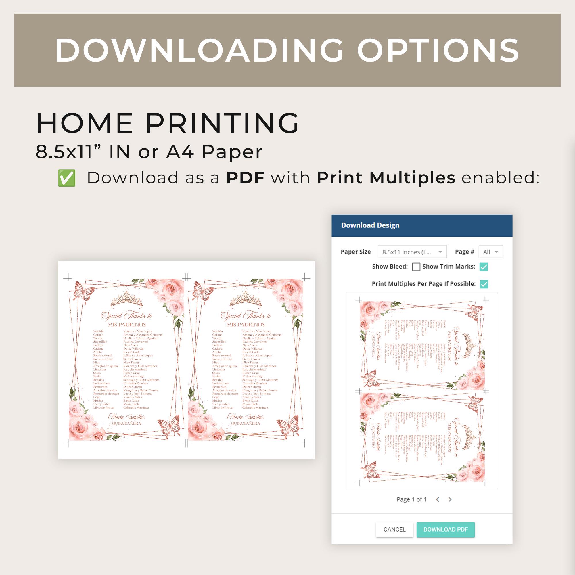 Pink and Rose Gold Quinceañera Mis Padrinos List, EDITABLE Princess ...