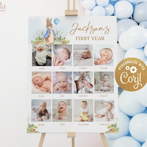 Peter Rabbit mijlpaal verjaardag teken, afdrukbare Baby's eerste jaar poster sjabloon, jongen blauw 1e verjaardag mijlpaal Board fotocollage KP095