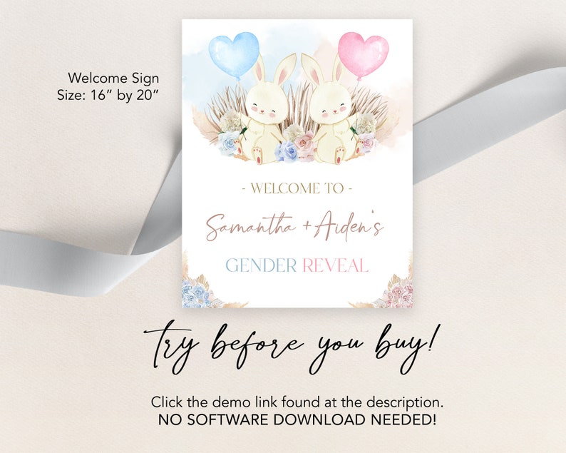 Bunny Gender Reveal Welcome Sign, Boho Rabbit Gender Reveal Party Decor, He Or She, Boy Or Girl Template, Watercolor, Pampas Grass, GR006 image 3
