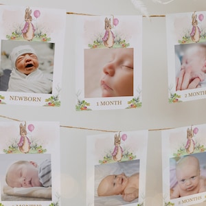 Modelo de banner de foto de aniversário de Peter Rabbit, cartões de marcos mensais editáveis de primeiro ano de bebê, guirlanda de fotos para impressão, download instantâneo