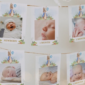 Modelo de banner de foto de aniversário de Peter Rabbit, cartões de marcos mensais editáveis do primeiro ano do bebê, guirlanda de fotos para impressão, download instantâneo