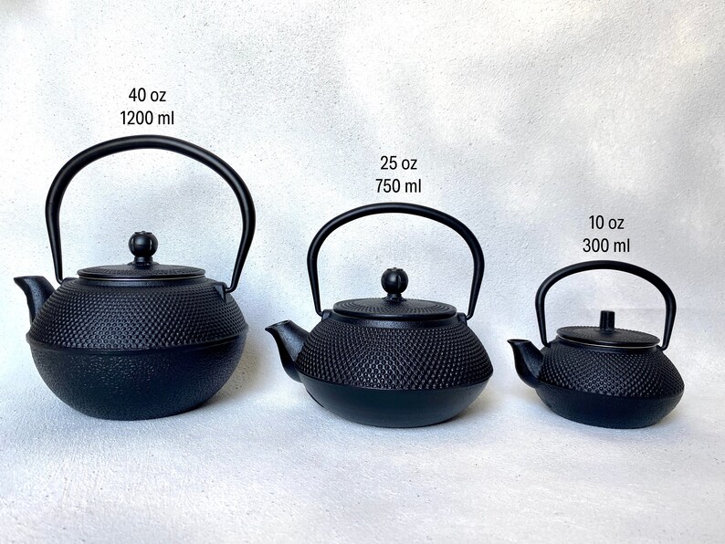 Cast Iron Teapot Set With Infuser Japanese Tea Set and Cups Etsy