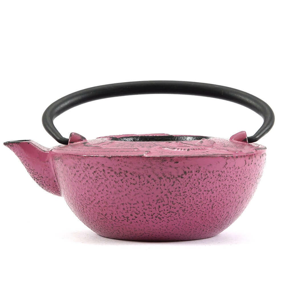 Cast Iron Teapot Japanese Teapot Cast Iron Kettle Tea Sets Etsy