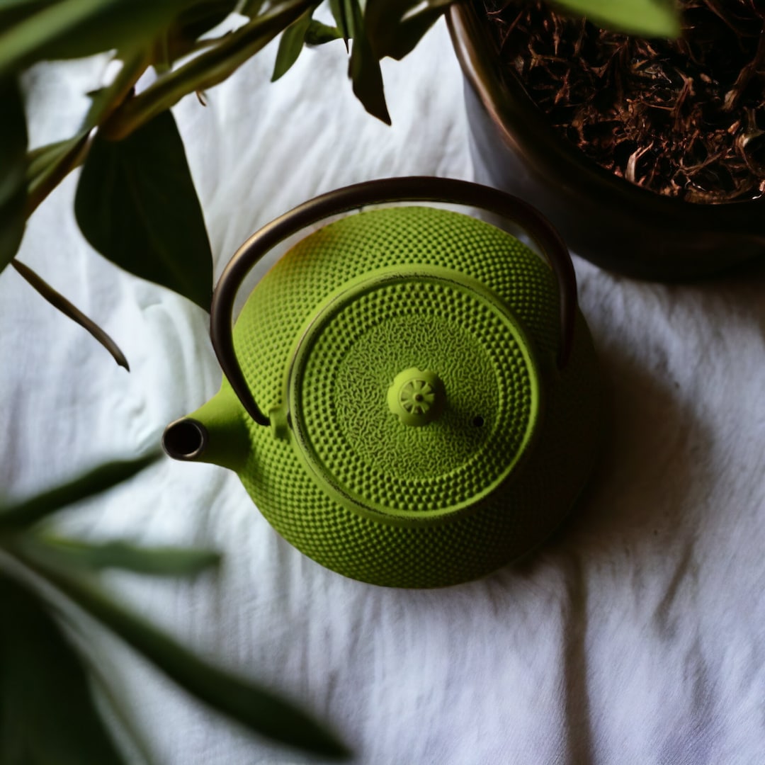 Cast Iron Japanese Tea Pot TeaKettle, Cast Iron Tea Kettle Stovetop Safe, Kitchen Decor, Cast Iron Teapot for Home Gift, Housewarming Gift - Green 25oz/750ml