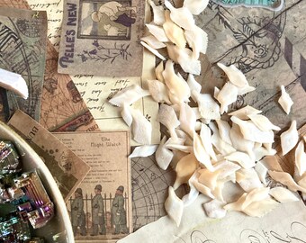 Download Alligator Gar Fish Etsy