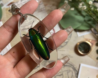 Keychain Green Jewel Beetle, Chrysochroa Fulmans, Resin Decor, Beetle in Resin, Insect Resin, Entomology, insect, Insect art, bug Keychain