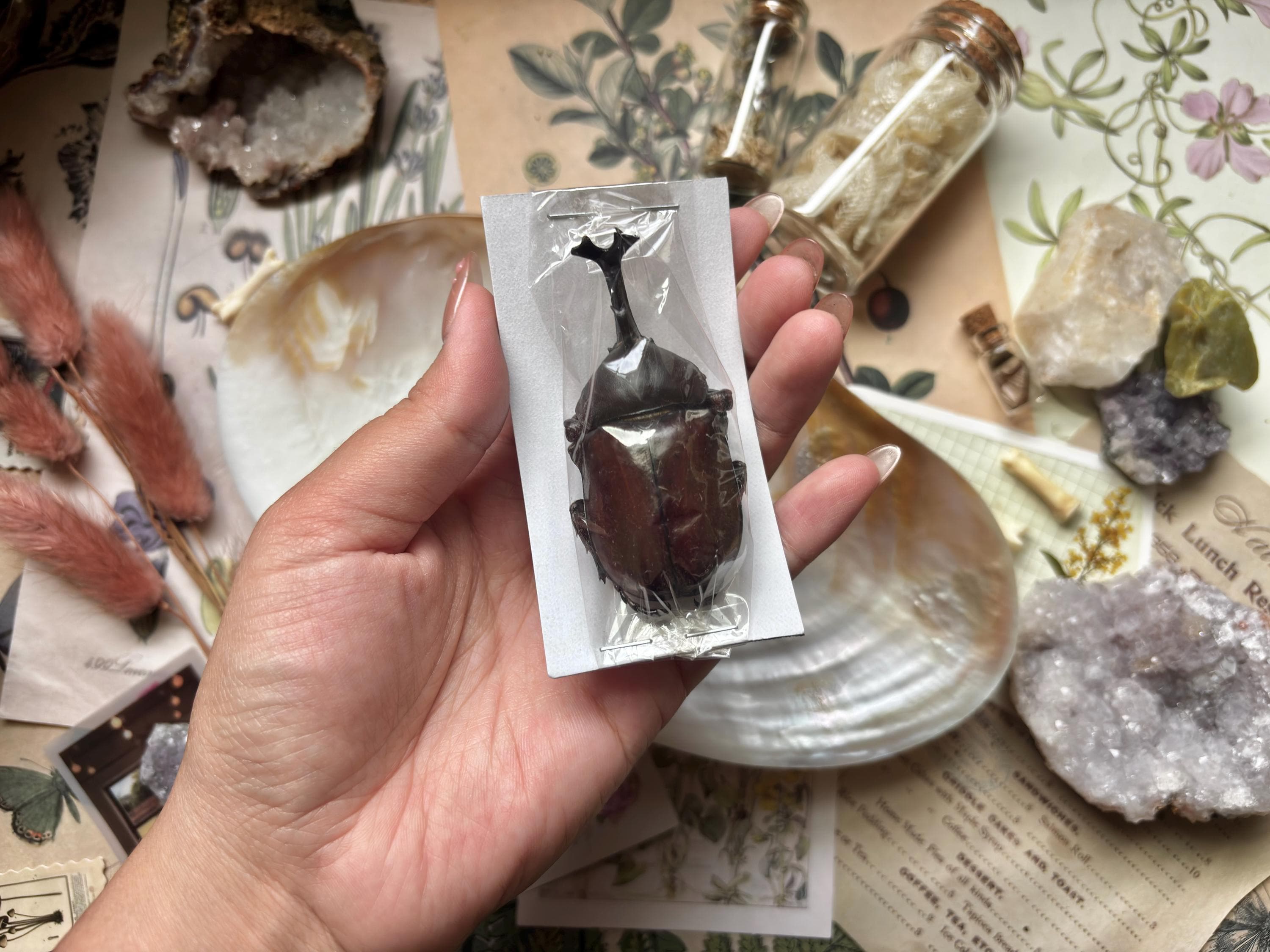 Japanese Curio - Etsy