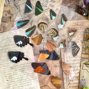 Laminated Sheets of Real Butterfly Wings, Real Butterfly Wings, Resin Art, Wing Art image 3