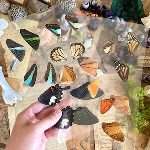 Feuilles laminées de vraies ailes de papillon, vraies ailes de papillon, oeuvre d'art en résine, oeuvre d'art d'ailes