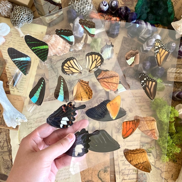 Laminated Sheets of Real Butterfly Wings, Real Butterfly Wings, Resin Art, Wing Art