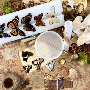 Complete Butterfly Mounting Kit - Butterfly & Moth Spreading and Pinning Kit (Specimen + Tools + (QR code) PDF Instructions Included)