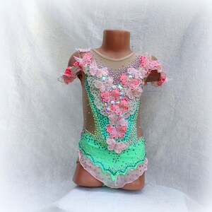 May include: A green leotard with a sheer mesh bodice decorated with pink and white butterfly appliques and rhinestones.