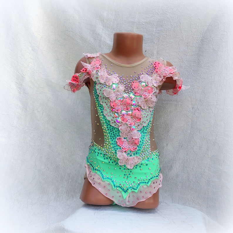 May include: A green leotard with a sheer mesh bodice decorated with pink and white butterfly appliques and rhinestones.