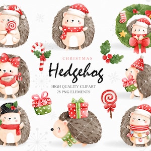 Christmas hedgehog clipart, winter hedgehog clipart, christmas clipart, hedgehog clipart