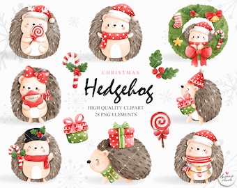 Christmas hedgehog clipart, winter hedgehog clipart, christmas clipart, hedgehog clipart