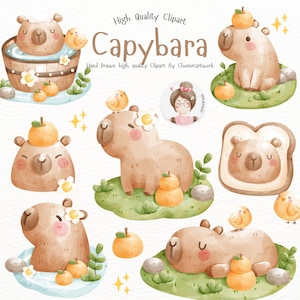 Watercolor Capybara Clipart, Cute Capybara PNG, Cute Capybaras, Pups, Rodent Species, Kids clipart with Capybaras, PNG.