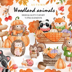 Autumn woodland animal clipart, autumn clipart, woodland animal clipart, fall clipart, happy fall clipart