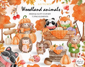 Autumn woodland animal clipart, autumn clipart, woodland animal clipart, fall clipart, happy fall clipart