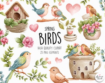 Spring clipart, Bird clipart, Spring bird cliprt, love bird clipart