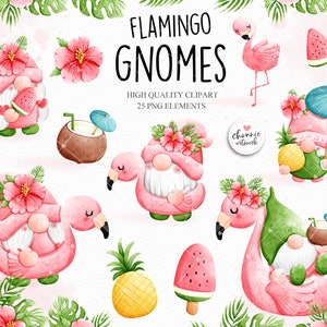 Gnome flamingo clipart, summer gnome clipart, tropical gnomes clipart