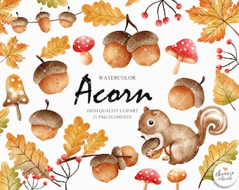 Acorn clipart, Autumn Leaves Clipart, Fall Leaves Clipart, Autumn Clipart, Fall Clipart, Fall Leaf Clipart, Leaf Clipart