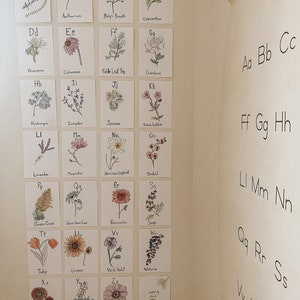 Botanic Alphabet Cards