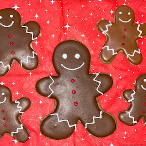 Une douzaine de biscuits en pain d'épice : biscuits décorés avec glaçage royal