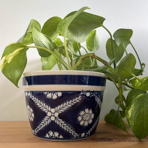 May include: A ceramic plant pot featuring a deep blue glaze with a white floral and lattice pattern. The pot has a wide, circular rim and contains a trailing green pothos plant with variegated heart-shaped leaves spilling over the sides.