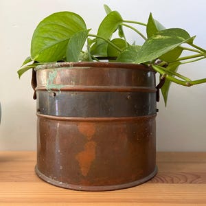 Peut inclure: Un cache-pot cylindrique en cuivre doté d'une large bande métallique sombre au centre et d'une oxydation visible près du bord supérieur. Le récipient contient une plante pothos verte retombante aux feuilles en forme de cœur.
