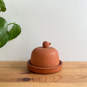 May include: A terracotta cloche with a small bird-shaped handle, sitting on a matching base. The cloche and base are a warm, earthy orange-brown color. The cloche is on a wooden surface, with green leaves in the background.