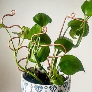 Copper Plant Sticks: Modern Houseplant Supports, Leaning Stem Support, Set of 3